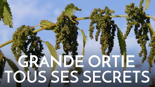 Lortie  tous ses secrets [upl. by Idnod]