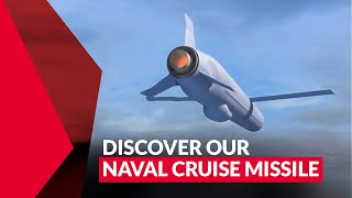 NCM Naval Cruise Missile [upl. by Kiki818]