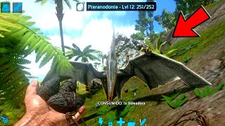 Como tamear un Pteranodon en ark Mobile [upl. by Nadruoj]