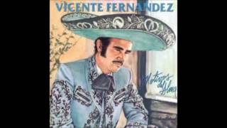 AUNQUE ME DUELA EL ALMA  VICENTE FERNANDEZ FULL AUDIO [upl. by Corbet]