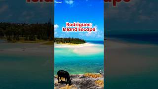 Unseen Travel Treasures Rodrigues Island Mauritius shorts mauritius [upl. by Rukna]