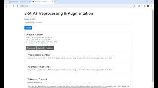 File Upload then PreProcessing augmentation and tokenization [upl. by Refeinnej639]