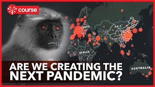 Zoonotic Diseases  How the next Pandemic could happen [upl. by Gent]