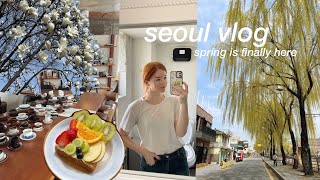 seoul vlog 🍃 spring week of my life in korea suwon solo trip bad air quality cafe dates [upl. by Nadiya425]