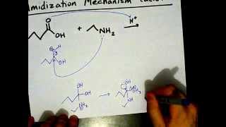 How to Make Amides Mechanism [upl. by Rafaello]