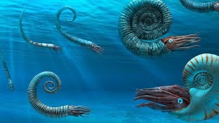 Ammonites The Fossil Fish That Ruled The Oceans 2024 [upl. by Ardena]