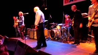 The Fabulous Thunderbirds feat Kim Wilson am quot9 Blues Festival Badenquot  the crawl [upl. by Tihor282]