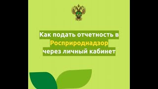 Расприроднадзор  видеоинструкция для работы в личном кабинете природопользователя [upl. by Nesnah]