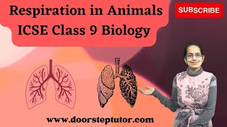 Respiration in Animals Lungs Nose Pharynx Larynx Trachea Bronchi  ICSE Class 9 Biology [upl. by Nnylimaj]