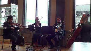 XinOu Wei Strings plays Frank Sinatra quotStrangers In The Nightquot Quartet [upl. by Theis]