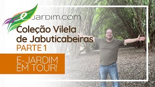 COLEÇÃO VILELA DE JABUTICABEIRAS  Parte 1  EJardim em TOUR [upl. by Madancy940]