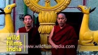 Tibetan monks throatsinging  Specialized form of chanting [upl. by Bloxberg]