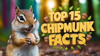 15 Amazing Facts About Chipmunks You Need to Know [upl. by Ober742]