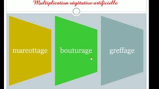 multiplication végétative 2ème collège [upl. by Vey]