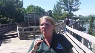 Live tour of Starved Rock State Park [upl. by Etz]