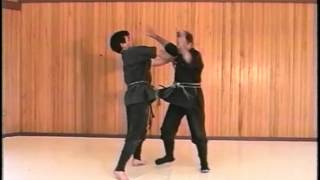 Combat Ninjutsu Handling Attacks From Behind Master Richard Van Donk [upl. by Pyszka]