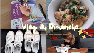 Vlog dimanche productif  Coloriage Disney 🎨 Snacks Masques Organisation [upl. by Philippine]