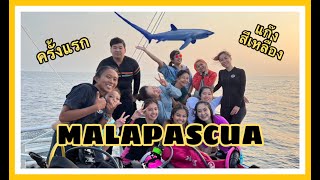 Diving in Malapascua [upl. by Brest94]