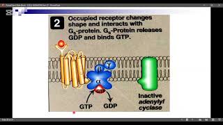 Adenylate Cyclase PathwaySignal Transduction Part 2 [upl. by Nima]