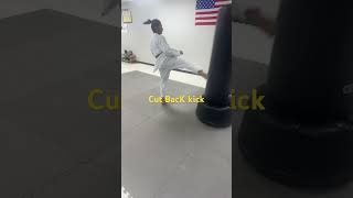 Cutback Kicks The Taekwondo Technique You Didnt Know Existed [upl. by Mij]