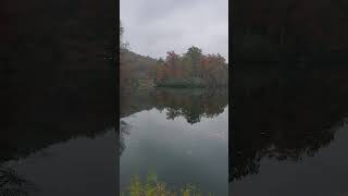 Laurel lake fall colors Breaks Interstate Park Breaks VA [upl. by Kamaria393]