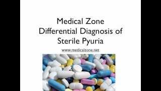 Medical Zone  Differential Diagnosis of Sterile Pyuria [upl. by Acima356]