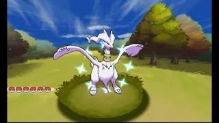 SHINY RESHIRAM amp SHINY ZEKROM  SHINY LOCKED POKÉMON [upl. by Otreblig298]