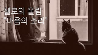 35만뷰 🎼중후한 감성의 첼로 연주 feat 중간광고없음ㅣClassical Cello BGMㅣ클래식명곡연주ㅣ 편안해지는ㅣ그린슬리브스ㅣ아름다운소리ㅣ행복 음악ㅣ첼로연주곡모음 [upl. by Melbourne314]