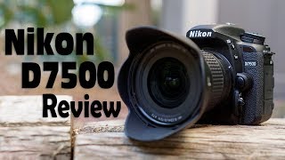 Nikon D7500 Review  A True D7200 Replacement [upl. by Atiuqihc309]