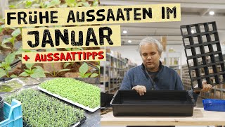 Was kannst du im Januar aussäen  Tipps zur frühen JungpflanzenVoranzucht im Haus [upl. by Morgun]