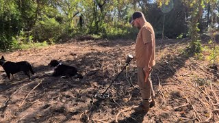 Metal Detecting Fresh Plowed Field On 140 Year Old Farm And Spreading Seed [upl. by Blas530]