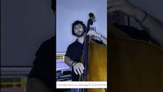 “Amame como soy” Pablo Milanes version Niña Pastori Acoustic Bass by Samuel Burgos bass [upl. by Hola]