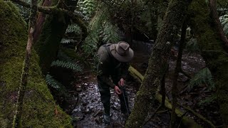 Delatite river trout fishing [upl. by Eyks]