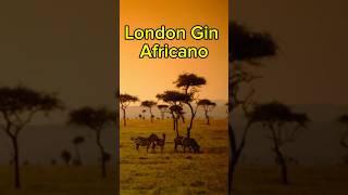 London Dry Gin con Wild Pepper africano 🌿🐘 gin bartender africa ginitaliano [upl. by Bax]