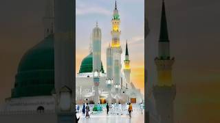 New Naat Sharif 2024  Haal e Dil Kis Ko Sunaen  Haasan Ali  Official Video  HQ Studio shortfeed [upl. by Polik]