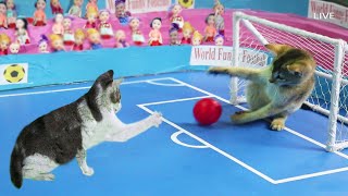 Funny Cat Playing Football  Kitten Play [upl. by Asquith]