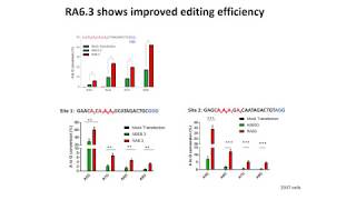 CRISPRBased In Vivo Genome Editing and Base Editing [upl. by Eelarak]