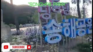 SONGHAE PARK DAEGU [upl. by Lili]