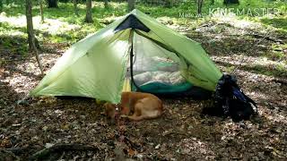 Fall fun on the Elk Trail in Benezette PA [upl. by Ietta]