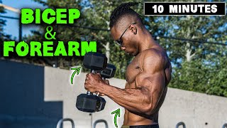 10 MINUTE LIGHTWEIGHT DUMBBELL BICEP amp FOREARM WORKOUT [upl. by Weinreb]