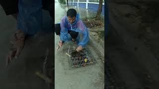 Amazing Unclogged Drain Flood Rain On Street Road unclog remove drain flood shorts [upl. by Madlin]