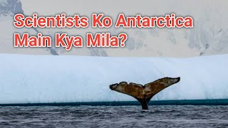 Who Controls Antarctica  Antarctica Mystery Hindi [upl. by Viviane]