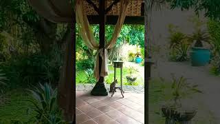 Moon Garden Resort 🎑🌕 subscribe viralvideos shortvideos viral baliindonesia philippines peace [upl. by Ycniuqed]