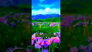 World best ringtone🔥instrument ringtone💖viralringtone [upl. by Asilrak]