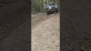 Little 3 wheeling today 🤘 [upl. by Forest]