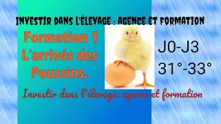 Formation 1 larrivée des poussins  Jo Comment sorganiser  5 [upl. by Charbonneau]