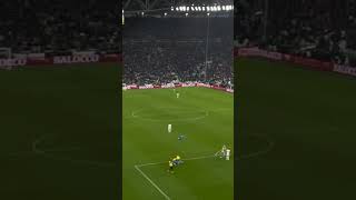 Il boato dei tifosi del Napoli al gol di Raspadori in JuveNapoli 01 [upl. by Pubilis84]