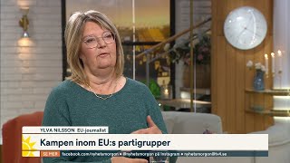 Det händer i EUparlamentet veckorna efter valet  Nyhetsmorgon  TV4 amp TV4 Play [upl. by Orlan]