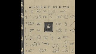 שירולי – מדריגל [upl. by Epuladaugairam772]