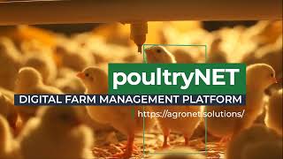 poultryNET  farm management and decision support tool [upl. by Nosreffej]